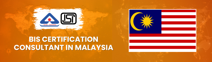 bis consultancy in malaysia